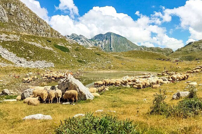 1-Day Montenegro Hiking Tour to Durmitor National Park - Bay of Kotor panoramic time: why the 10 minutes is enough