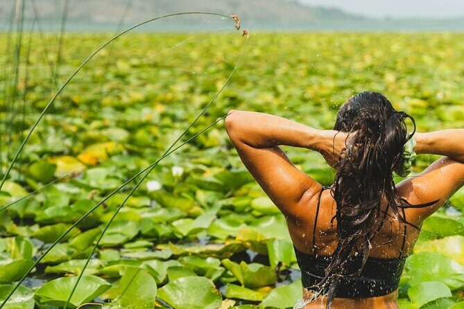 1-hour Kayak Adventure through Skadar Lake from Virpazar - Key highlights worth your attention