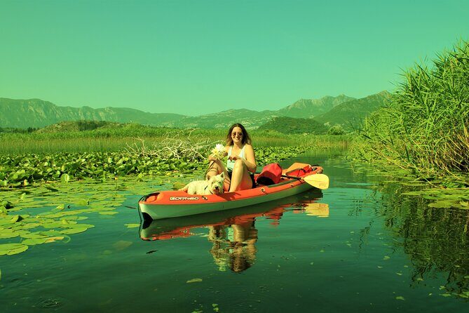 1-hour Kayak Adventure through Skadar Lake from Virpazar - Navigation and route tips: you’re not flying blind