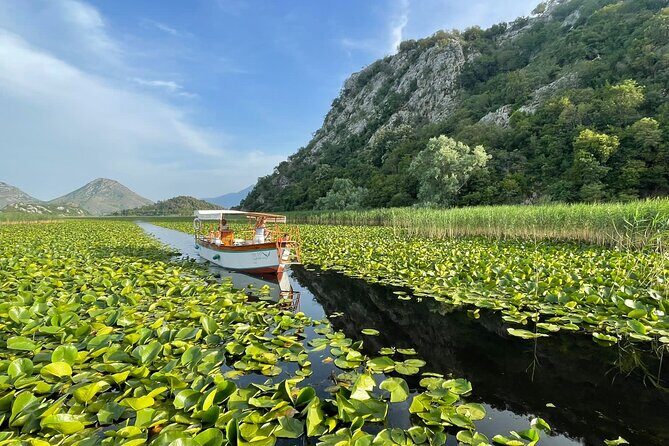 2 Hour Group Boat Trip in Skadar Lake - Price and what you’re really paying for (about $20.48)