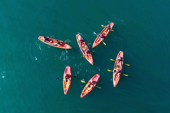 3 Hours Kayaking in Kotor Bay in Montenegro - Key Takeaways Before You Go