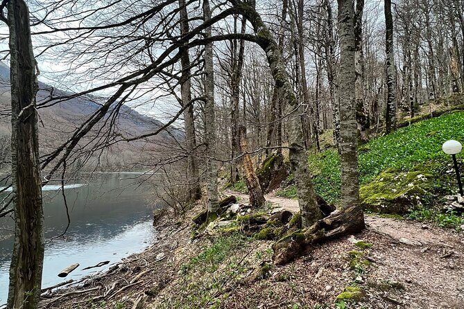 Biogradska Gora National Park Tour with Optional Add-Ons - Lake Biograd walk: easy time in ancient glacial country