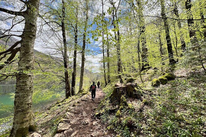Biogradska Gora National Park Tour with Optional Add-Ons - What you’re paying for: value beyond the sticker price