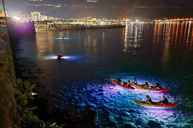 Budva: 2-Hour «Night Lights» Kayak Tour - Included Gear and Why It’s Worth Paying For