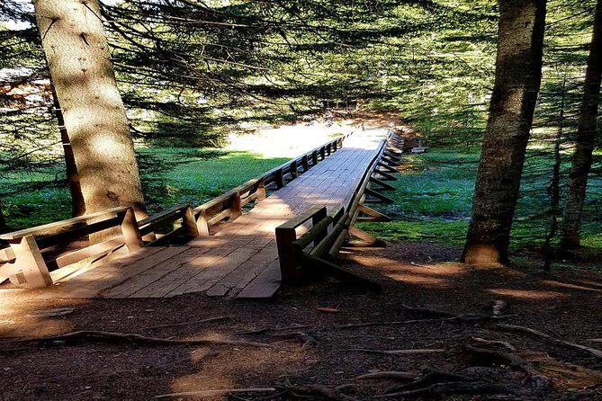 Durmitor National Park hiking tour - easy to moderate - Getting Oriented in Zabljak: Where the Walk Begins
