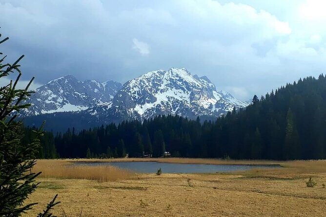 Durmitor National Park hiking tour - easy to moderate - Inside Durmitor National Park: 2 Hours of Trail Logic