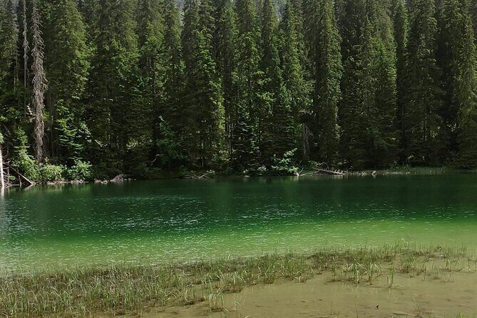 Durmitor National Park hiking tour - easy to moderate - Who This Hike Is Best For (and Who Might Want Another Option)