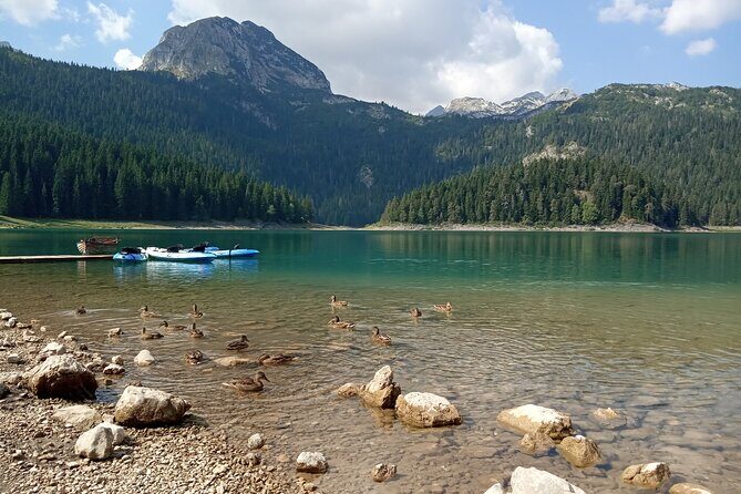 Durmitor NP private tour- Among Katuns, Shepherds and Geological Miracles - Why this Durmitor day feels different from a simple nature trip