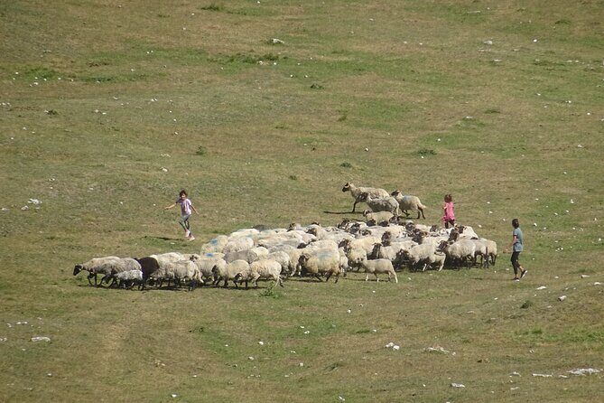 Durmitor NP private tour- Among Katuns, Shepherds and Geological Miracles - Piva Canyon and Piva Lake viewpoints: why the drive is part of the show