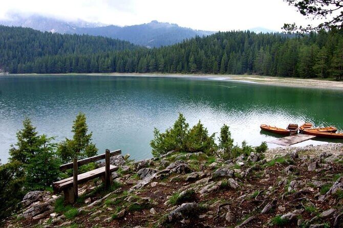 Enjoy Private Transfers by Car or Van from Tivat Airport to Kotor or Budva - The Ride Itself: Scenic Montenegro, Without Stress