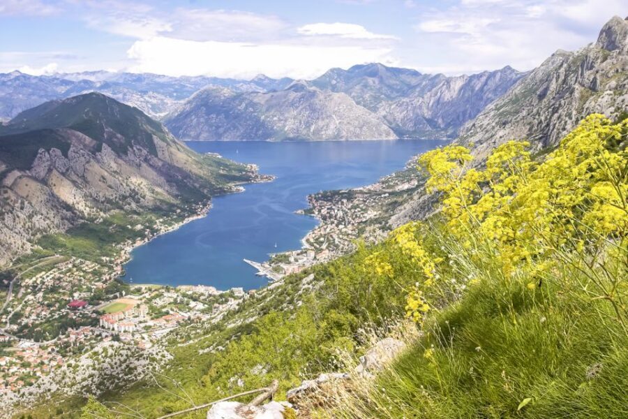 From Dubrovnik: Montenegro Day Trip - Budva plus Bay of Kotor drives: what changes on the small-group tour