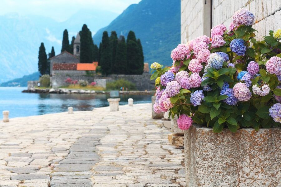From Dubrovnik: Montenegro Highlights Day Tour - Lepetane in the Bay of Kotor: why the free time is your pressure valve