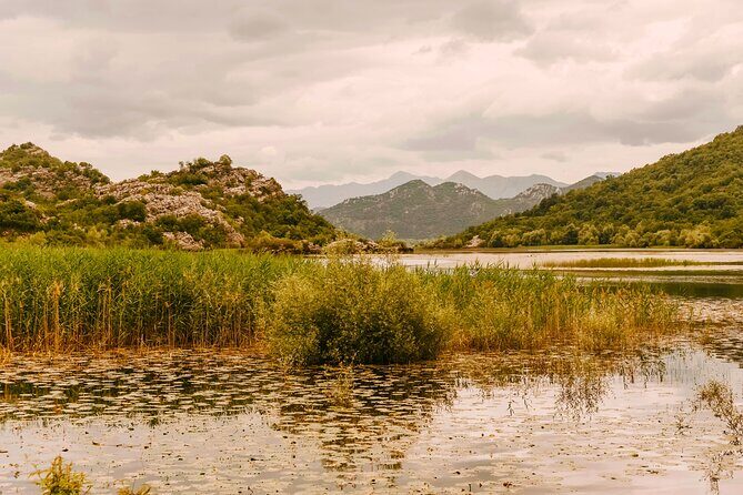 From Virpazar: Visit Karuč, the hidden pearl of Lake Skadar - Heading back over Lake Skadar: final views and a chance to cool off