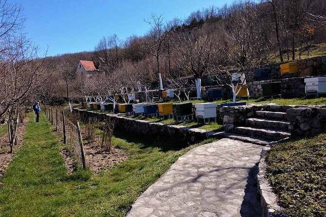 Gastronomy and Sightseeing in Montenegro - Lake Skadar & Cetinje Private Tour - Key Highlights You’ll Care About