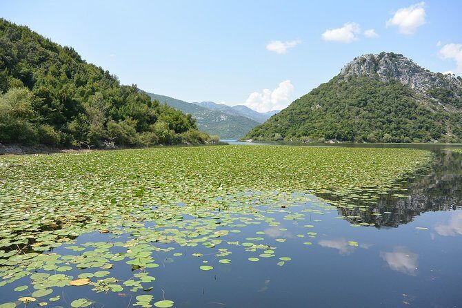 Gastronomy and Sightseeing in Montenegro - Lake Skadar & Cetinje Private Tour - Bajice Honey-Farm Lunch: A 200-Year-Old House and Fruit-and-Honey Drinks