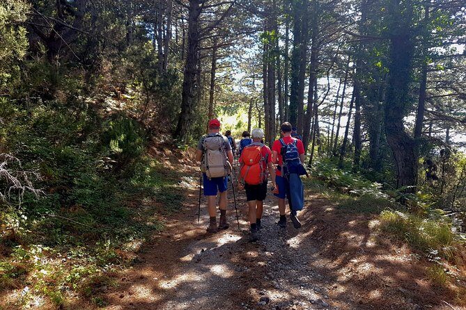 Hiking Vrmac peninsula with panoramic view on Kotor bay - Price and Timing: Is $114.48 Worth It?