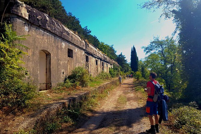 Hiking Vrmac peninsula with panoramic view on Kotor bay - What to Expect on the Ground (Without the Guesswork)