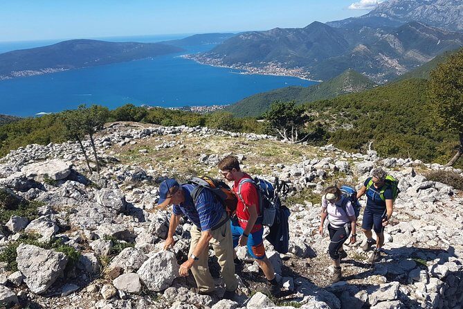 Hiking Vrmac peninsula with panoramic view on Kotor bay - Weather, Rescheduling, and How to Think About It