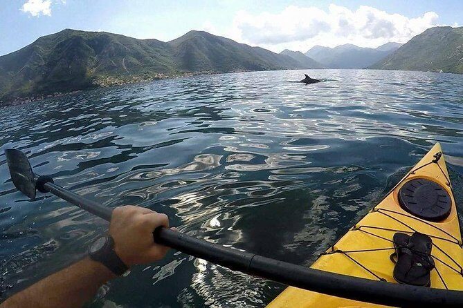 Kayak active tour - Meeting at Port of Kotor and getting on the water