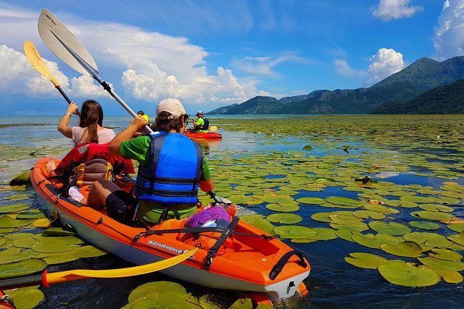 Kayak Guided Tour Skadar lake - Adventure in National park - Quick Highlights: What Makes This Skadar Lake Kayak Tour Worth Your Time