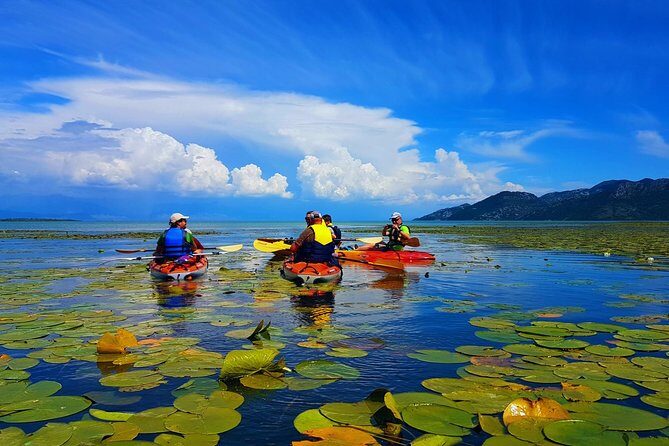 Kayak Guided Tour Skadar lake - Adventure in National park - Gear and Small Comforts That Make Paddle Days Easier