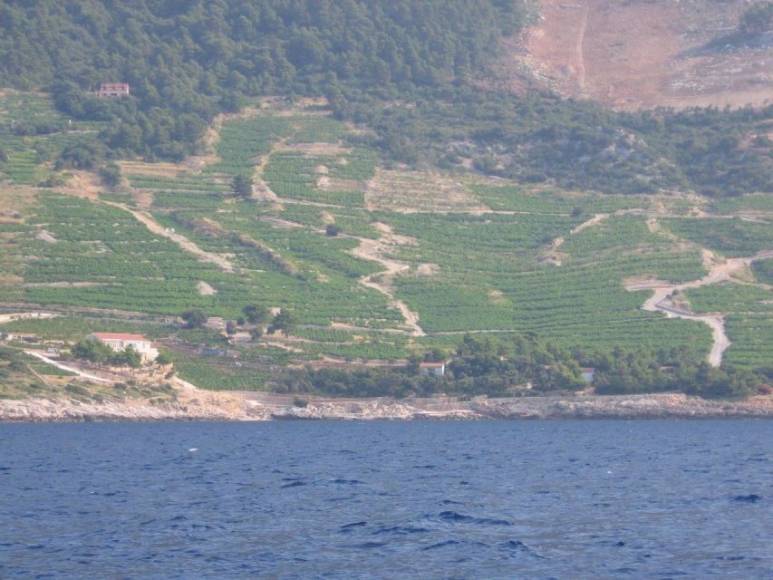 Korčula & Ston Full-Day Private Tour from Dubrovnik - Pelješac Peninsula Views From the Luxury Vehicle