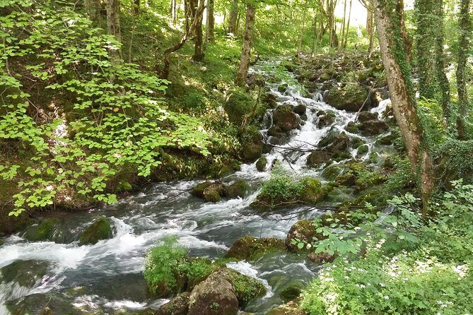 Moraca, Tara & Piva canyons with Durmitor national park - Crno Lake in Durmitor: The One Ticket You Must Budget