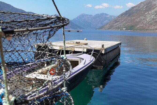Mussel & Oyster Farm with Perast visitation Private Tour - Mussel and oyster farm lunch near Ljuta: what you actually get