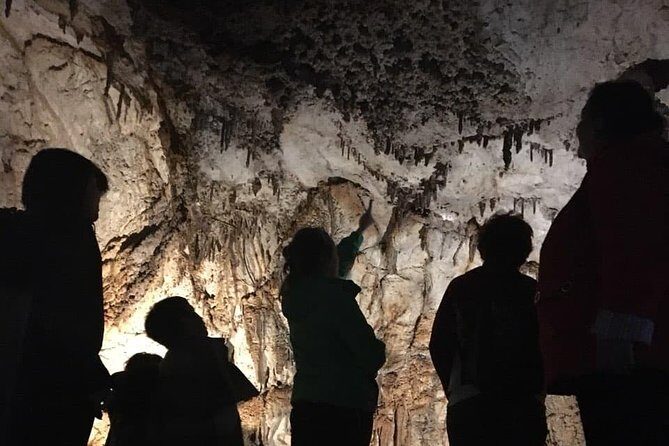 National Park Lovcen and Lipa Cave (Private tour) - How the day usually flows in 6 to 8 hours