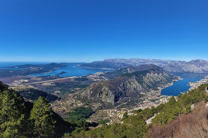 National Park Lovcen and Lipa Cave (Private tour) - The guide experience: you’re not just chauffeured