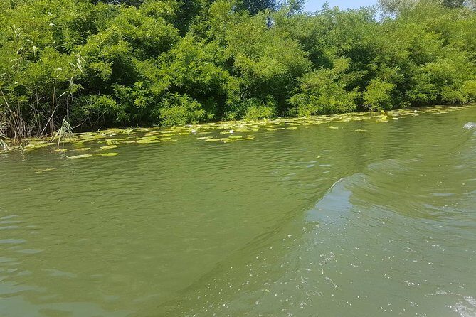 National park Skadar Lake (Private tour) - Customizing Your Day: How To Make It Fit What You Care About