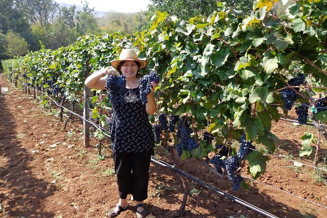 National parks and wine tasting (NP Lovcen, NP Skadar lake, Cetinje, Njegusi) - Should you book this Montenegro Wonders day trip?