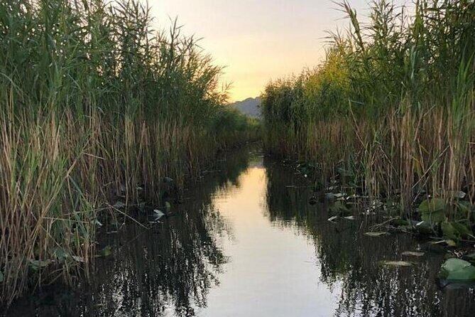 Noah's Ark Skadar Lake Journey - Food and wine: local fish and homemade tastes