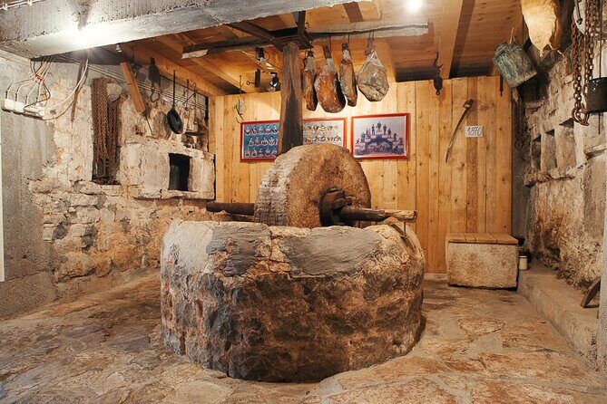 Olive oil farm to fork experience & short walking tour of Kotor - Price, Group Size, and Time: Is It Worth 5 Hours?
