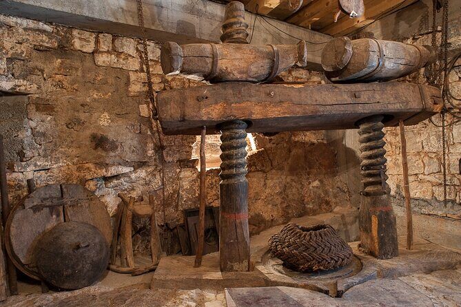 Olive oil farm to fork experience & short walking tour of Kotor - 150-Year-Old Mill to Modern Anaerobic Press