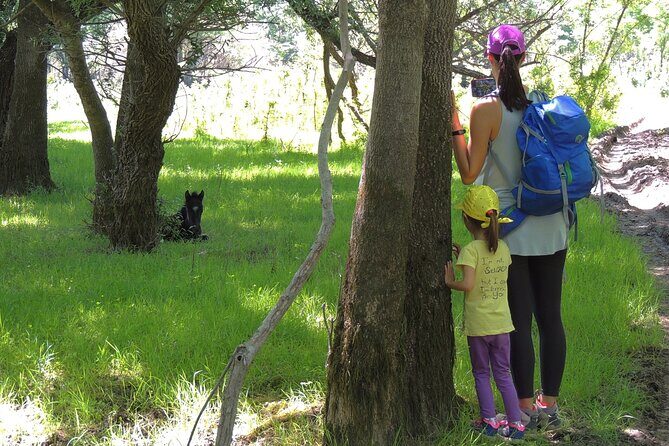Podgorica Historic, Safari and Winery tour - Skadar lake and River Crnojevica - Skadar Lake Safari: A Day Built Like a Scenic Playlist