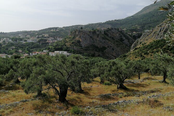 Port of Bar tour - Explore Adriatic area - Bar and Ulcinj tour - Key highlights you’ll actually feel