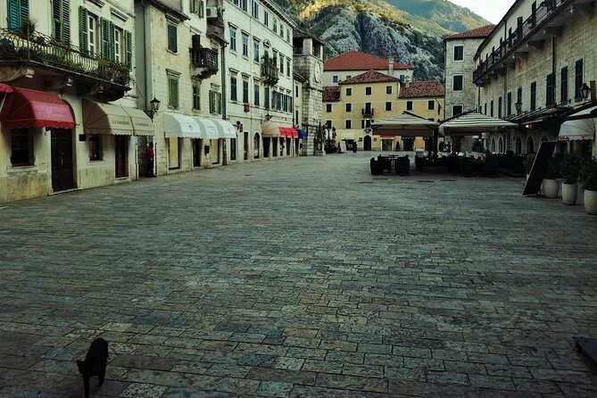 Port of Kotor - Kotor-Perast-Our lady of the rocks private tour - How the Drive, Stops, and Timing Feel in Real Life