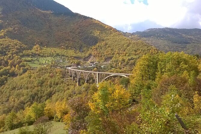 Private Full-Day Tour in Moraca and Tara Canyons, Durmitor & Biogradska Gora NP - A private van day across Montenegro’s wild water and forest