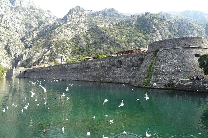 Private Full-Day Tour -Kotor tour, Saint Stefan & NP Skadar Lake - Price and value: why a private format can make sense here
