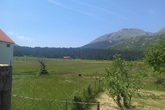 Private National Park Lovcen with food and wine tasting - Who this tour suits best (and who should plan differently)