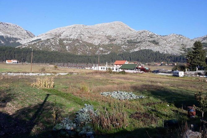 Private tour: Homemade food and wine tasting at my family home - Key highlights to look for