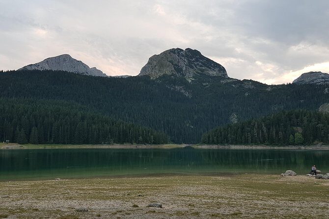 Private transfer from Podgorica Airport and city to Žabljak - Pricing and Value: The Flat Fee Perspective
