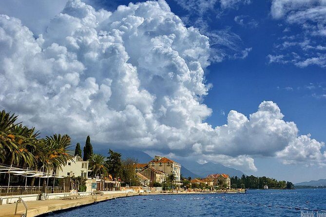 Private Transfer from Tivat or Porto Montenegro to Tivat airport - Car comfort and driver help: what’s worth expecting