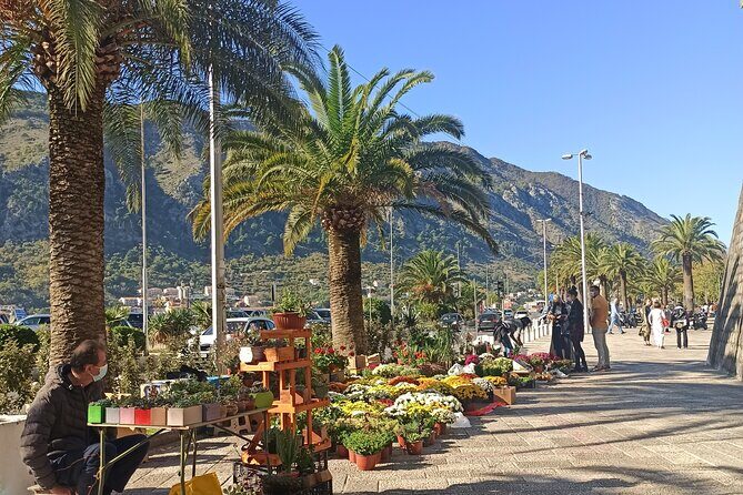 Private Walking tour with Wine and Food - Kotor farmers market tasting: prosciutto, cheese, olives, and rakija