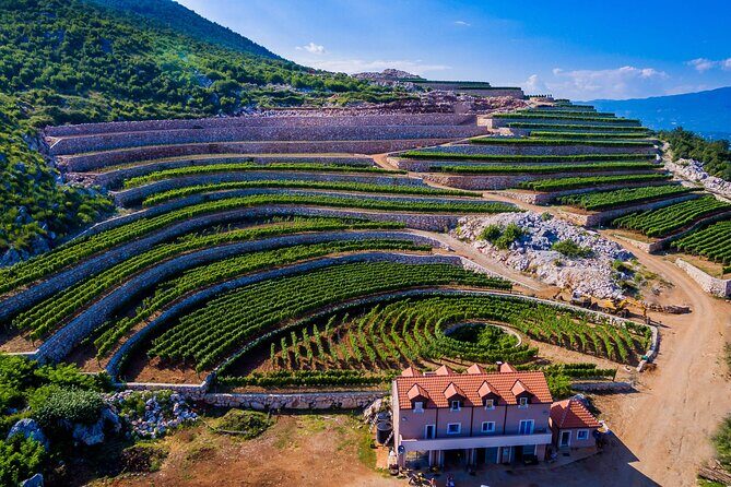 Private Wine Tasting Activity at Lipovac Winery - Key Highlights You Should Know