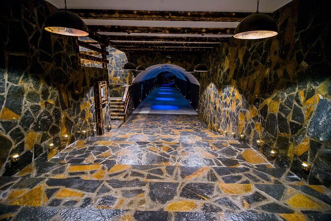 Private Wine Tasting Activity at Lipovac Winery - Underground cellar details: qvevri and terracotta amphoras