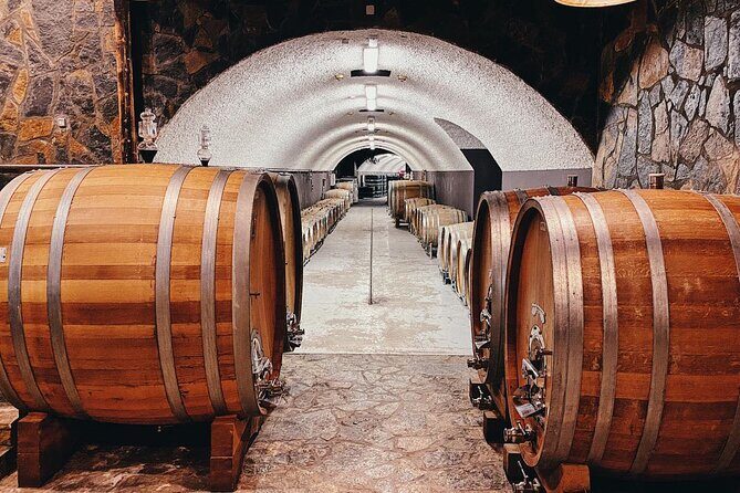 Private Wine Tasting Activity at Lipovac Winery - The wines and snacks: prosciutto, Montenegrin cheese, and olives