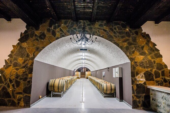 Private Wine Tasting Activity at Lipovac Winery - The 1.5-hour flow: vineyards, production spaces, then tasting