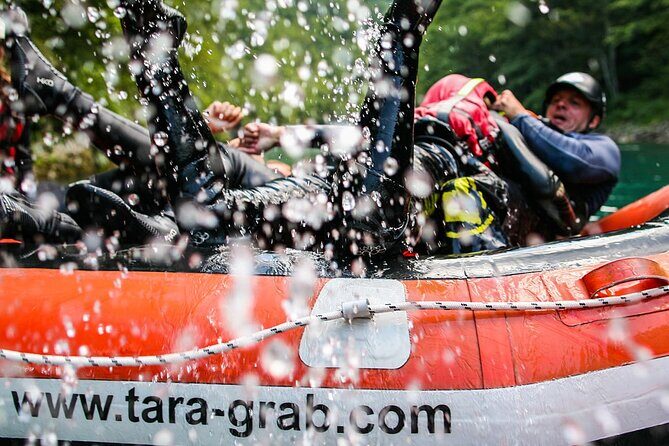 Rafting Adrenalin 7km - The mid-trip break on the Tara: swimming, photos, and a snack stop